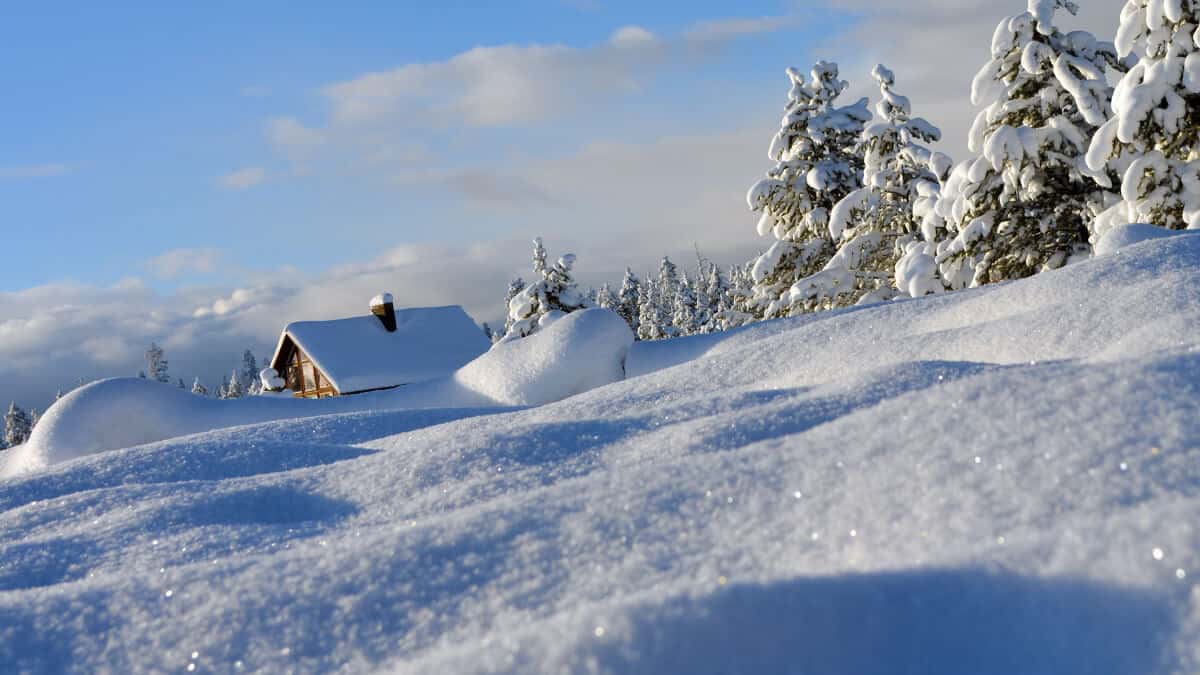 Dröm om snö