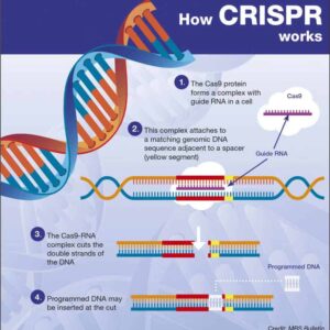Vad är CRISPR-teknik?