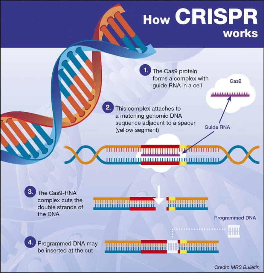 Vad är CRISPR-teknik?