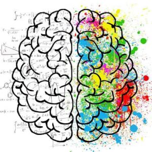 Vad händer i hjärnan när man tränar mindfulness?